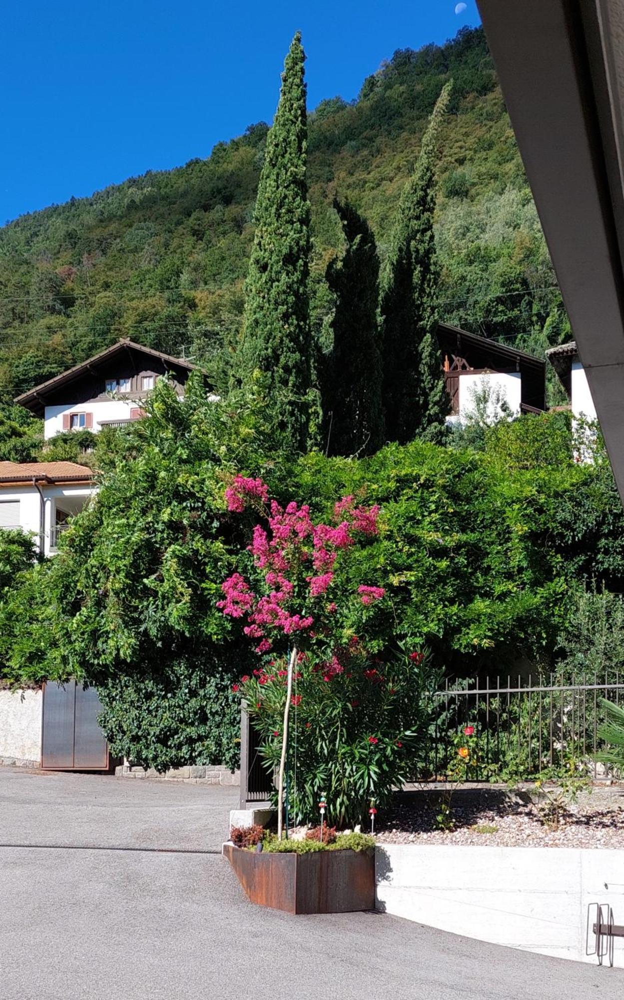 Marlingsuites - Vinea - Wieser Josef - Marling Exterior foto
