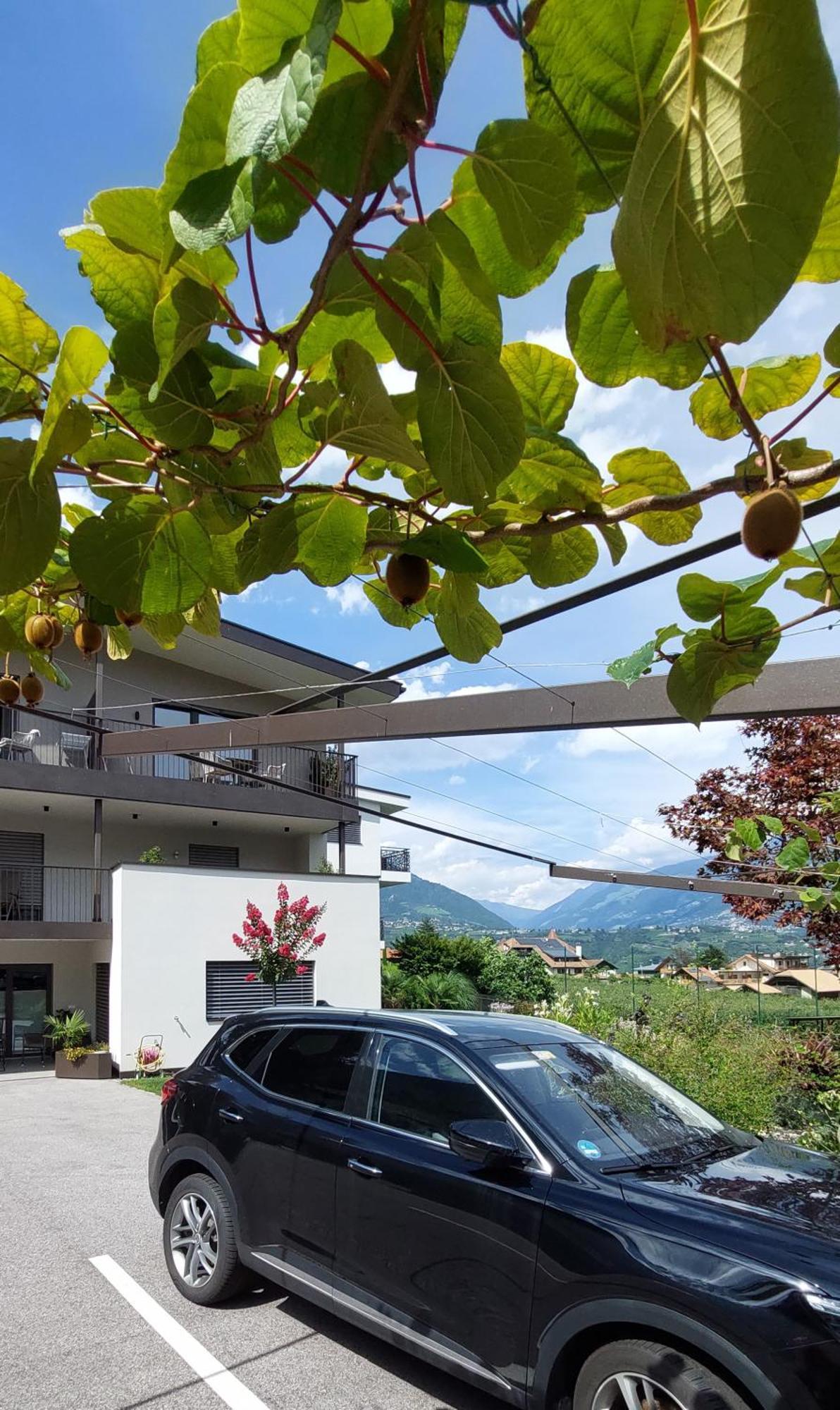 Marlingsuites - Vinea - Wieser Josef - Marling Exterior foto