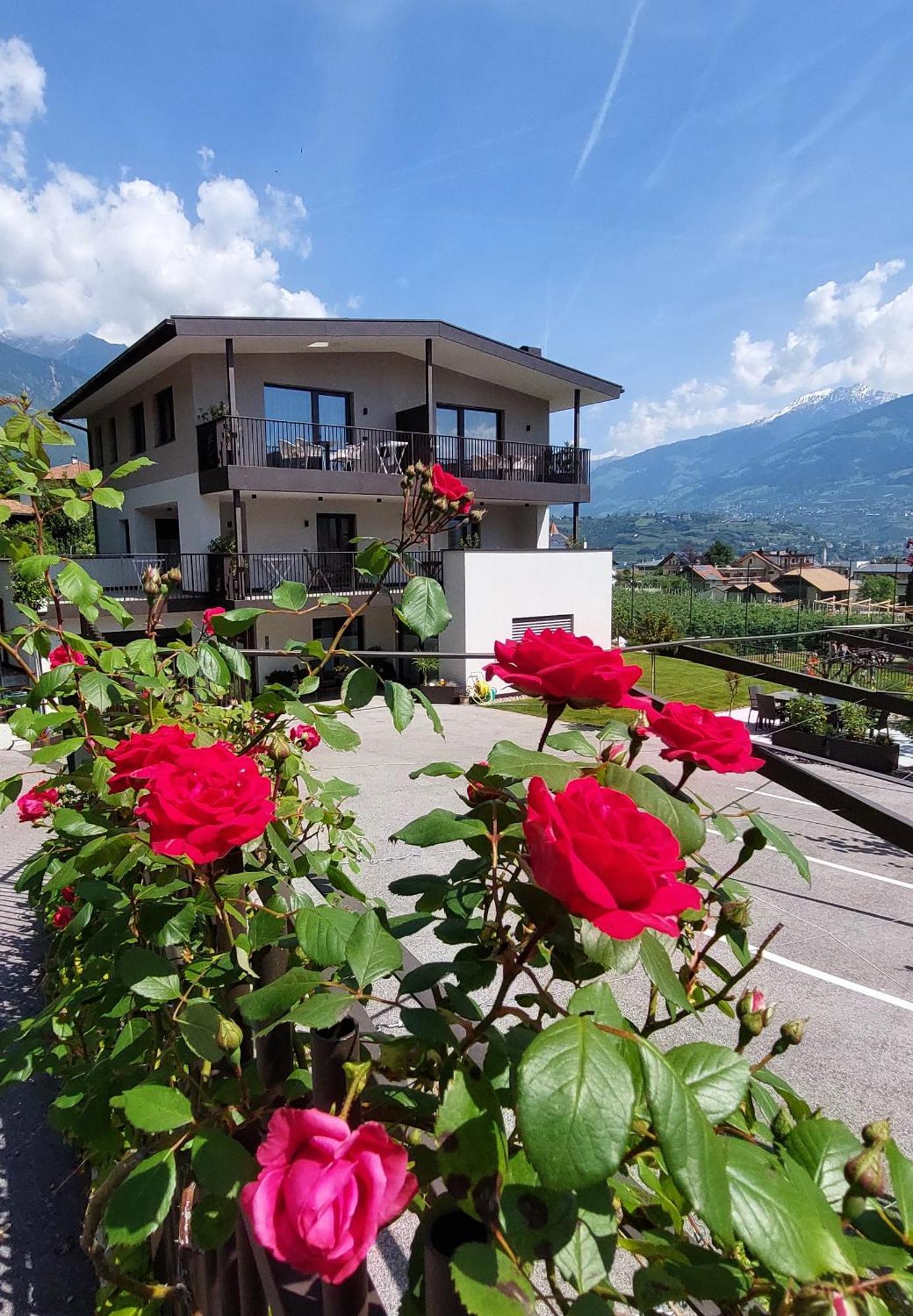 Marlingsuites - Vinea - Wieser Josef - Marling Exterior foto