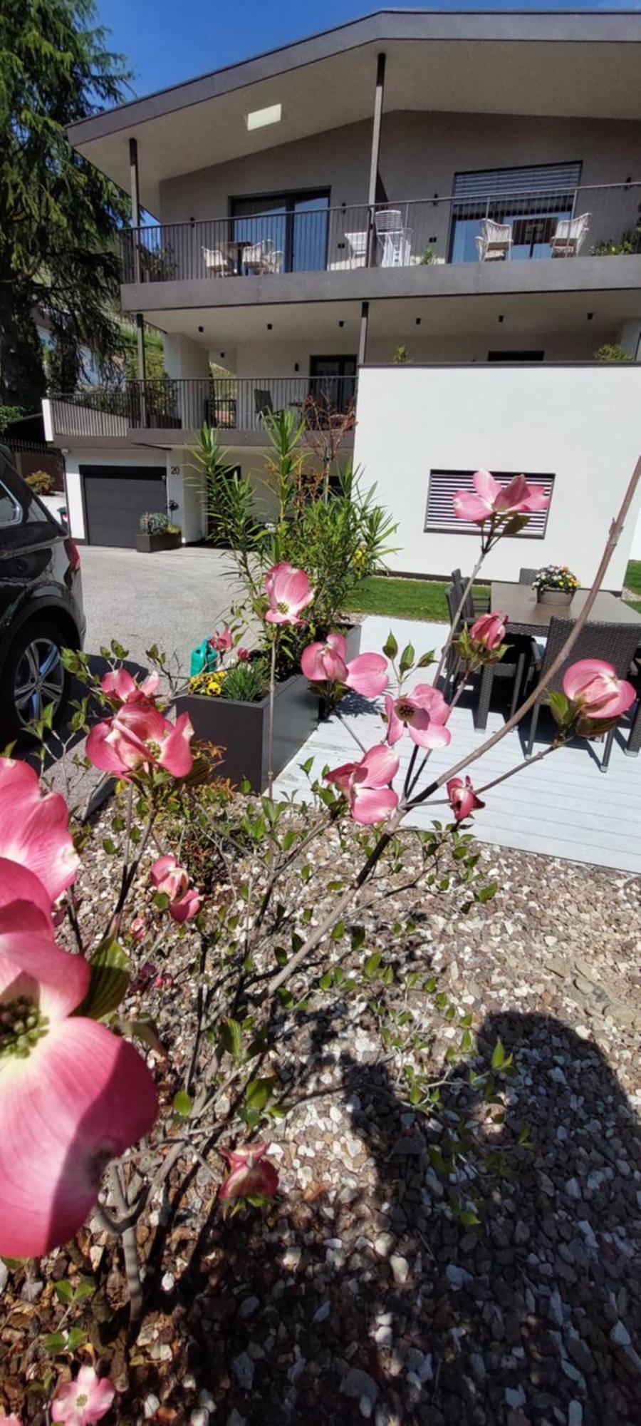 Marlingsuites - Vinea - Wieser Josef - Marling Exterior foto