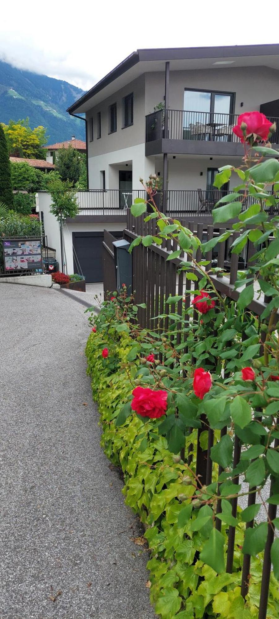 Marlingsuites - Vinea - Wieser Josef - Marling Exterior foto