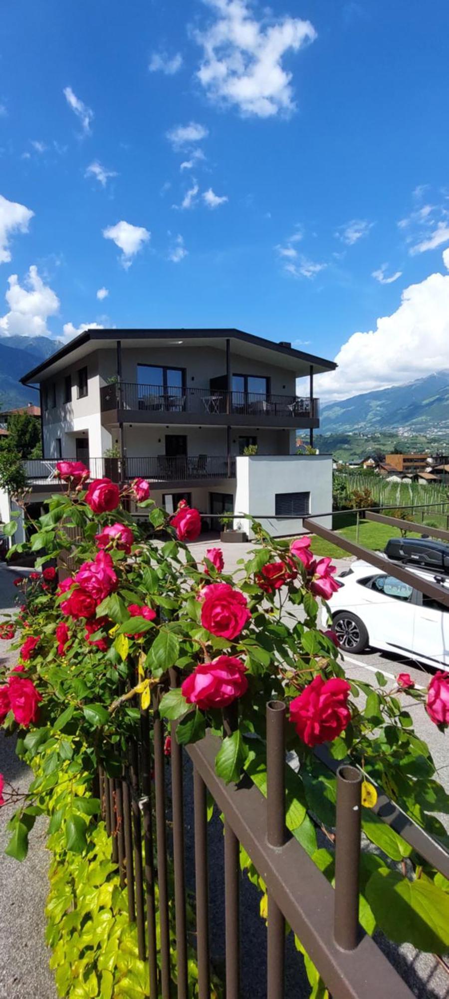 Marlingsuites - Vinea - Wieser Josef - Marling Exterior foto