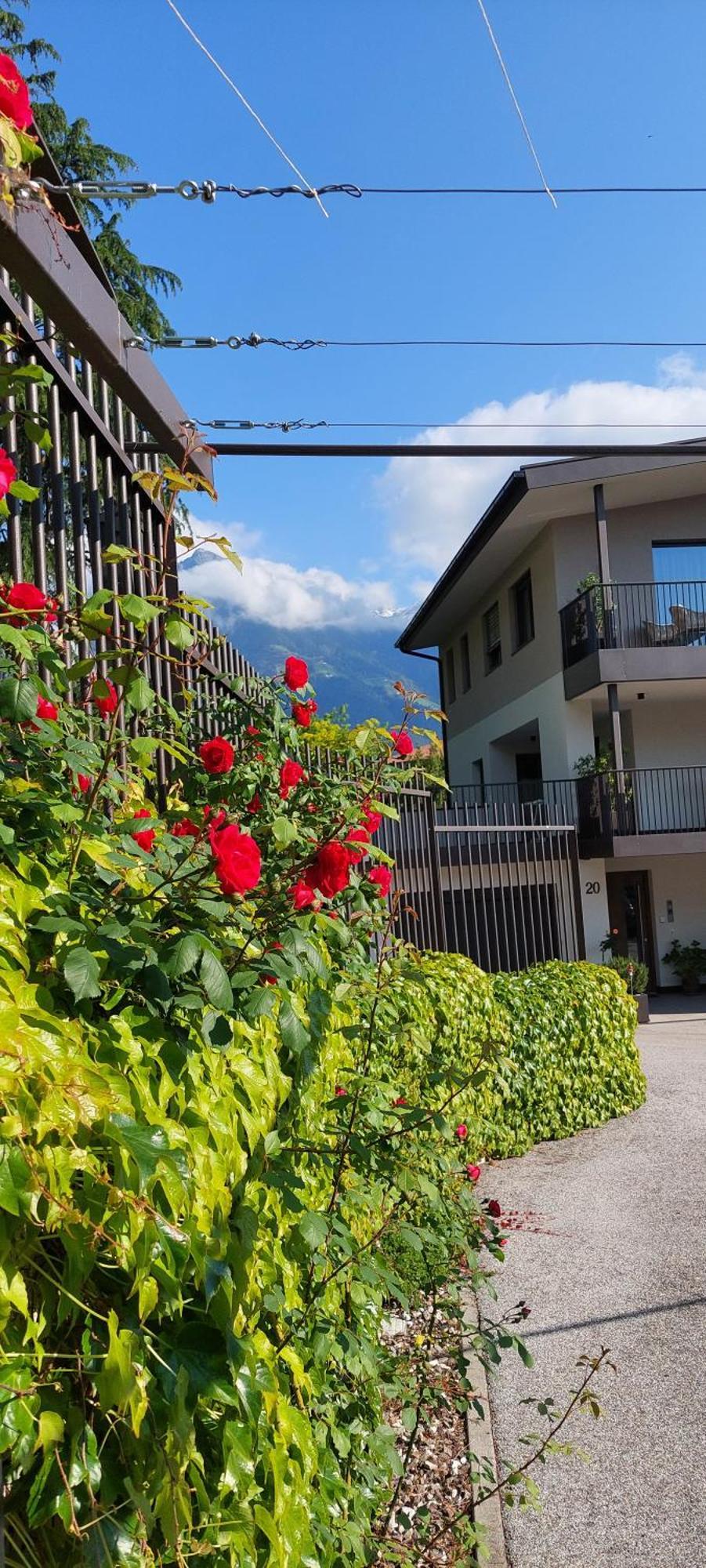 Marlingsuites - Vinea - Wieser Josef - Marling Exterior foto
